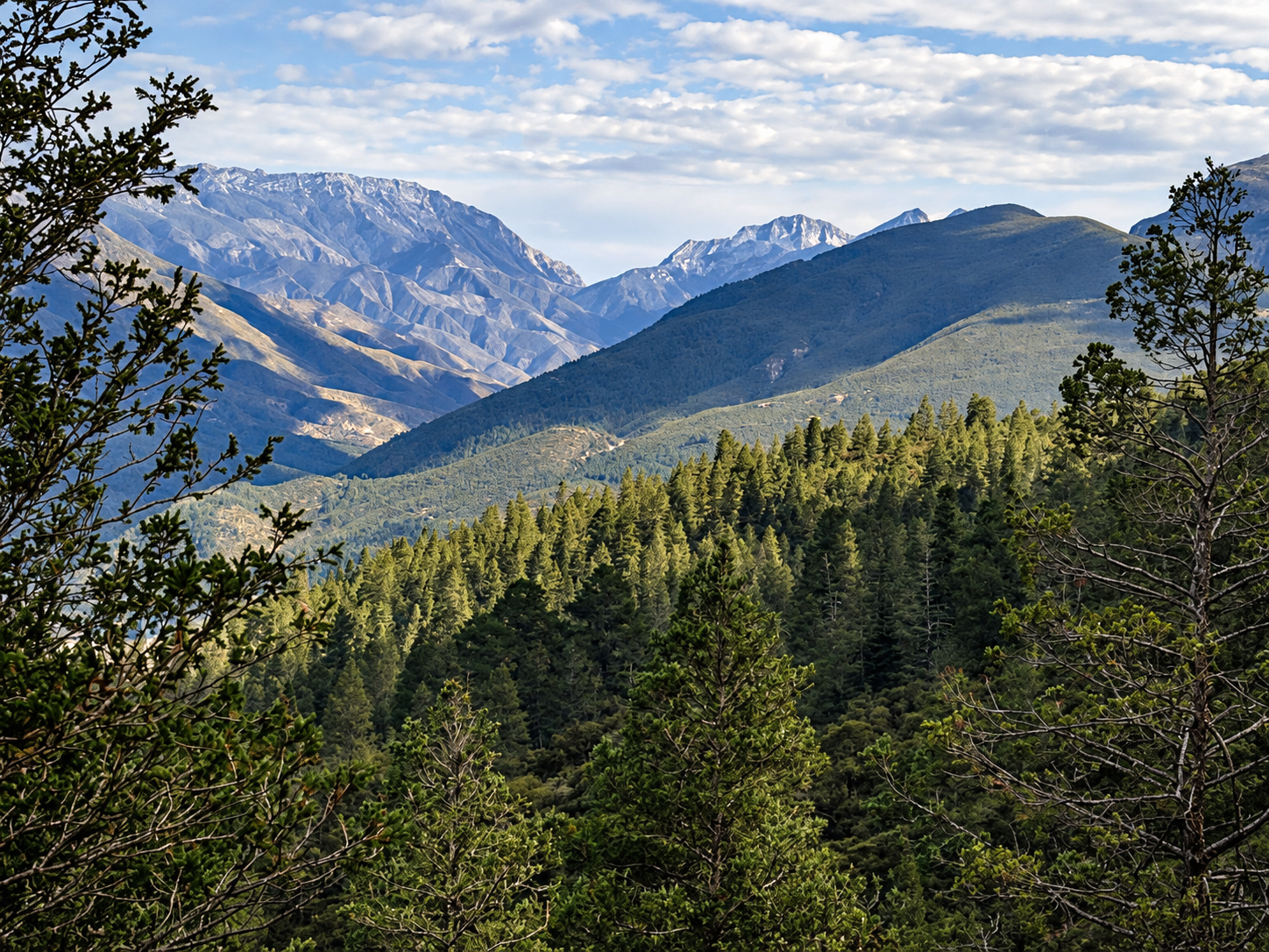 Sierra de Arteaga