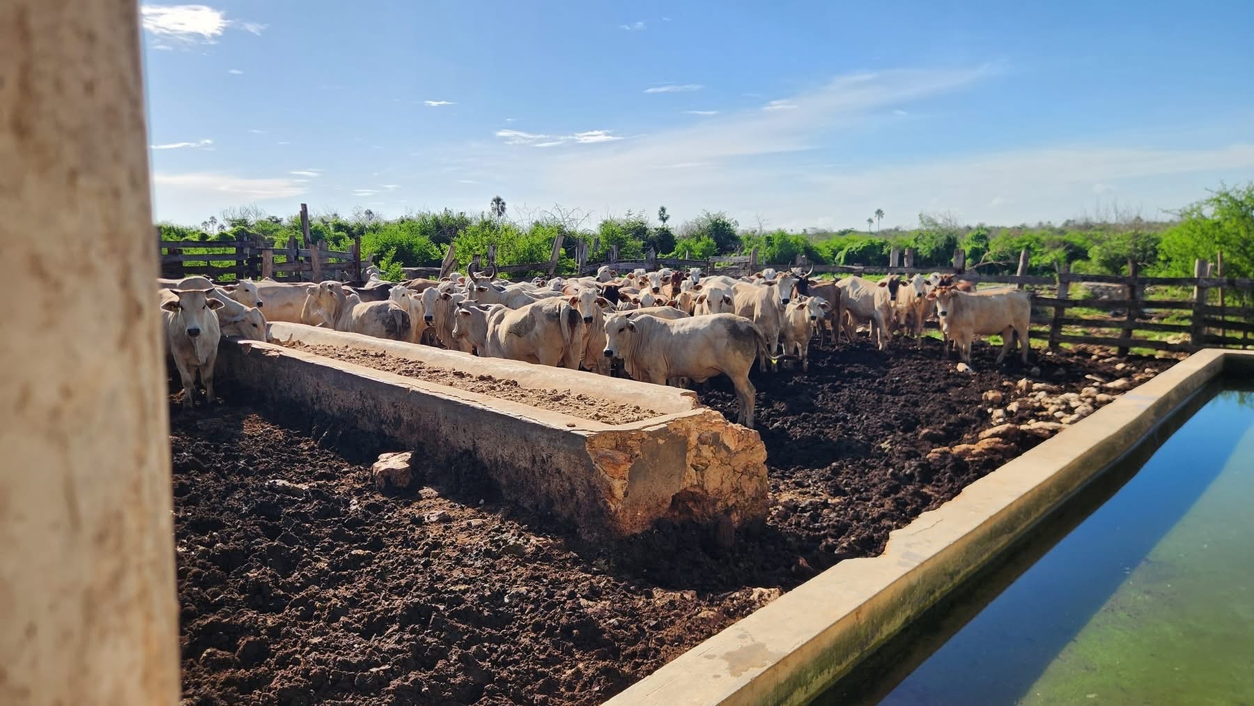 Colonia Yucatán — galería 6