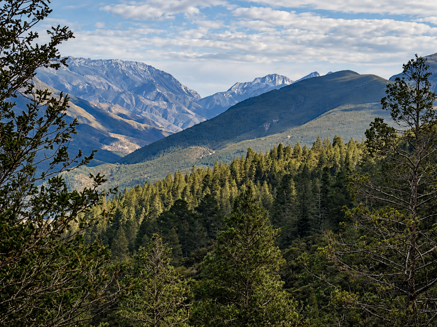 Sierra de Arteaga — vista principal
