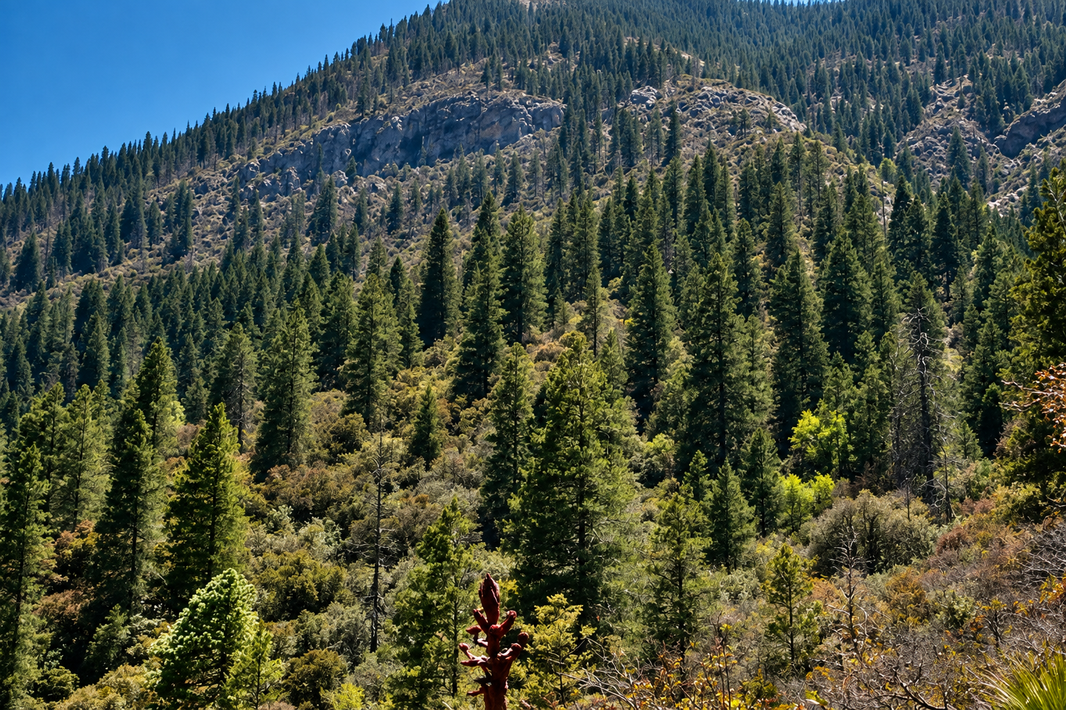 Sierra de Arteaga — valle panorámico